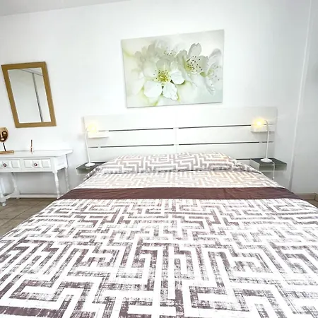 公寓 Cecilia Apartmentplaya De Americas 美洲海滩